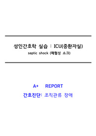 성인간호학 실습 - 패혈증쇼크 (문헌고찰, 간호진단, 간호과정) A+ 자료