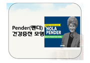 Pender(펜더) 건강증진 모형,메타페러다임