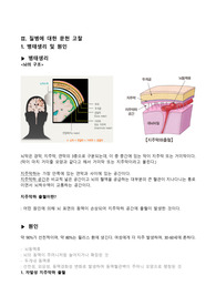성인간호학 A+ 받았던 지주막하 출혈 문헌고찰 및 간호진단