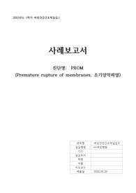 [A+ 자료] 조기양막파열(PROM) 케이스, 조기양막파열 간호과정(간호진단 5개, 간호과정 3개) / 양막파열과 관련된 감염위험성, 분만통증, 출혈위험성 등