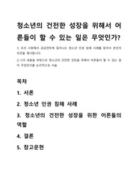 청소년의 건전한 성장을 위해서 어른들이 할 수 있는 일은 무엇인가