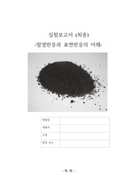 일반화학실험 발열반응의 이해 결과보고서
