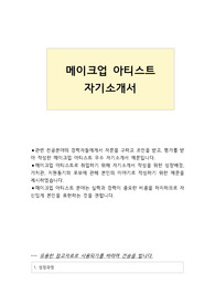 메이크업 아티스트 자기소개서