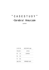 뇌동맥류 간호진단4개 및 간호중재 A+