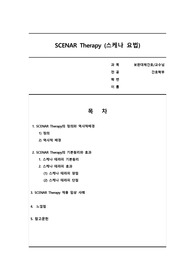 보완대체간호-스케너테라피