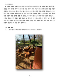 중앙대학교 단위동물사양학및실습 사양실험 실습 레포트