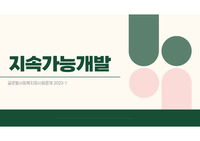 글로벌사회복지 SDGs, ODA 코이카 사례 발표