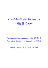 성인간호학_VSIM Skyler Hansen 보고서 (간호과정 2개)