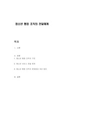 청소년 행정 조직의 전달체계