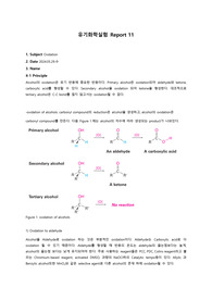 서울여자대학교 유기화학실험 oxidation 결과 레포트