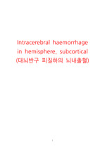 두개내출혈 case