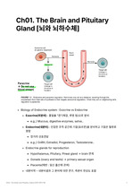 Human Reproductive Biology 정리노트 Ch01 The Brain and Pituitary Gland [뇌와 뇌하수체]