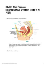 Human Reproductive Biology 정리노트 Ch02 The Female Reproductive System [여성 생식기]