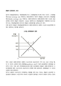 환율의 결정원리, 요인