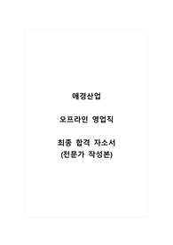 애경산업_오프라인 영업직_최종 합격 자소서_자기소개서_전문가 작성본