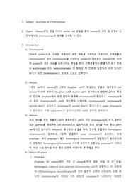 Structures of Chromosomes(meiosis) 예비레포트