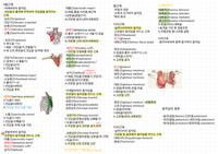 기초건강과학1,2(근육+내분비계통정리본)