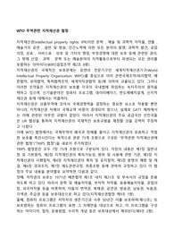 WTO 무역관련 지적재산권 협정
