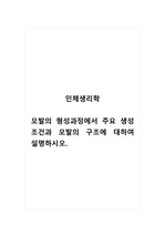 인체생리학_모발의 형성과정에서 주요 생성조건과 모발의 구조에 대하여 설명하시오.