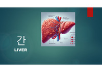 간, liver, 간의 구조
