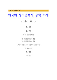 외국의 청소년복지 정책 조사
