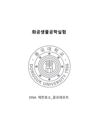 [화공생물공학실험] DNA 제한효소 실험 결과레포트