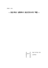 응급재난간호보고서 - 재난상황에서 간호사의 역할