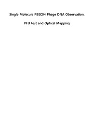 람다 파지 DNA 관찰, PFU test 및 Optical mapping_서강대학교 바이오융합기술프로젝트1 레포트