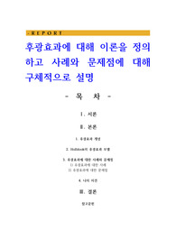 후광효과에 대해 이론을 정의하고 사례와 문제점에 대해 구체적으로 설명