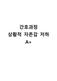 케이스 간호과정 상황적 자존감 저하 A+