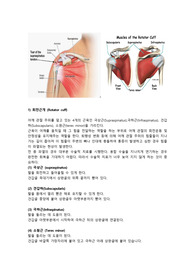 회전근개 수술