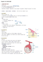 치위생학과 구강조직발생학 정리본(2) 치아의 발생