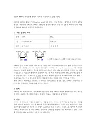 DNA와 RNA 차이점 보고서, A+레포트
