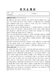제주대학교 대학회계무기계약직 (전산) 자기소개서, 직무수행계획서