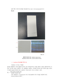 일반화학실험 A+레포트/탄수화물 정성실험 Thin layer chromatography(TLC)