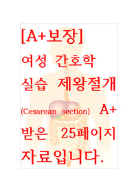[A+보장]여성 간호학 실습 제왕절개(Cesarean section) 간호, 간호진단, 간호과정, 컨퍼런스, 케이스스터디 25페이지 자료입니다.