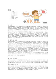 (아동간호) 수두환자에 대한 문헌고찰 및 간호진단 5개