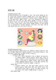 (모성간호) 자간증 (Eclampsia) 문헌고찰 및 간호진단 6개