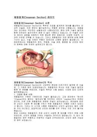 (모성간호) 제왕절개 모성간호학에 케이스 스터디(문헌고찰 및 진단 6개)