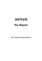 A+ 생화학실험 <3주차. Agarose Gel Electrophoresis> 레포트