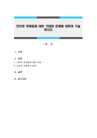 인터넷 마케팅에 대한 기대와 문제에 대하여 기술하시오