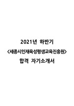 2021년 세종시인재육성평생교육진흥원 자기소개서(직무수행계획서, 경력기술서 포함)