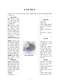 A+ 아동간호학 급성위장염 AGE 케이스 스터디 진단 3개 과정 2개 꼼꼼하게 작성했습니다 이론적 근거 포함