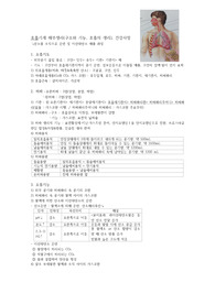 성인간호학1 수시고사&lt;호흡기계 해부생리(구조와 기능, 호흡의 생리)&gt;