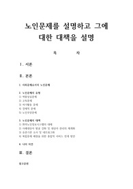 노인문제를 설명하고 그에 대한 대책을 설명