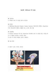 신경계 뇌 vr 실습보고서