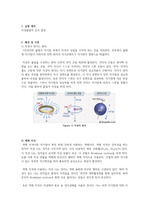 숭실대학교 신소재공학실험2 자성물질의 습식 합성 예비보고서