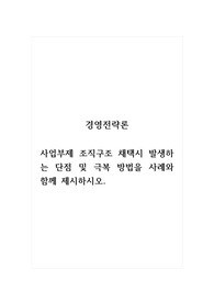 경영전략론_사업부제 조직구조 채택시 발생하는 단점 및 극복 방법을 사례와 함께 제시하시오.