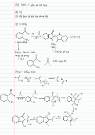 연세대 유기화학실험 8. Synthesis of Indigo and Vat dyeing