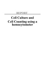 Cell Culture and Cell Counting using a hemocytometer 레포트